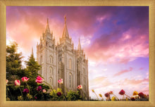 Load image into Gallery viewer, Salt Lake Tulips
