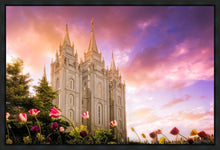 Load image into Gallery viewer, Salt Lake Tulips
