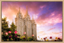 Load image into Gallery viewer, Salt Lake Tulips
