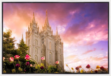 Load image into Gallery viewer, Salt Lake Tulips
