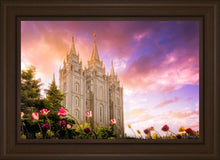 Load image into Gallery viewer, Salt Lake Tulips
