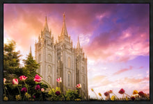 Load image into Gallery viewer, Salt Lake Tulips
