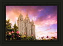 Load image into Gallery viewer, Salt Lake Tulips
