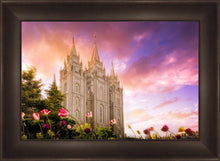 Load image into Gallery viewer, Salt Lake Tulips
