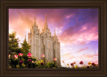 Load image into Gallery viewer, Salt Lake Tulips

