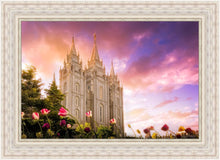 Load image into Gallery viewer, Salt Lake Tulips
