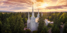 Load image into Gallery viewer, Portland from on High
