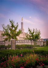 Load image into Gallery viewer, Spokane Flowers
