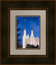 Load image into Gallery viewer, Washington DC Blue Sky
