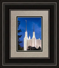 Load image into Gallery viewer, Washington DC Blue Sky
