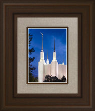 Load image into Gallery viewer, Washington DC Blue Sky
