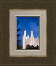 Load image into Gallery viewer, Washington DC Blue Sky
