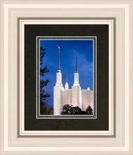 Load image into Gallery viewer, Washington DC Blue Sky
