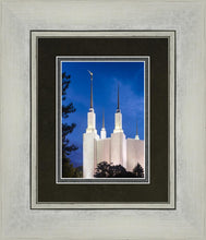 Load image into Gallery viewer, Washington DC Blue Sky
