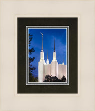 Load image into Gallery viewer, Washington DC Blue Sky
