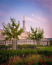 Load image into Gallery viewer, Spokane Flowers
