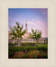 Load image into Gallery viewer, Spokane Flowers
