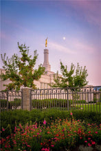 Load image into Gallery viewer, Spokane Flowers
