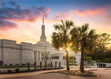Load image into Gallery viewer, Columbia Palmetto Sunset
