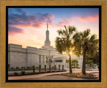 Load image into Gallery viewer, Columbia Palmetto Sunset

