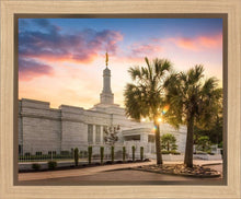 Load image into Gallery viewer, Columbia Palmetto Sunset
