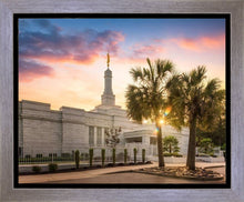 Load image into Gallery viewer, Columbia Palmetto Sunset
