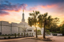 Load image into Gallery viewer, Columbia Palmetto Sunset
