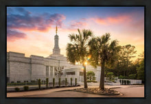 Load image into Gallery viewer, Columbia Palmetto Sunset
