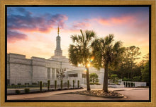 Load image into Gallery viewer, Columbia Palmetto Sunset
