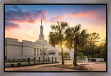 Load image into Gallery viewer, Columbia Palmetto Sunset
