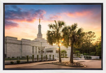 Load image into Gallery viewer, Columbia Palmetto Sunset
