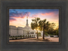 Load image into Gallery viewer, Columbia Palmetto Sunset
