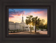 Load image into Gallery viewer, Columbia Palmetto Sunset
