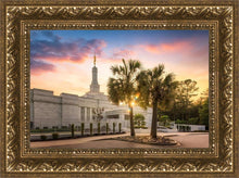 Load image into Gallery viewer, Columbia Palmetto Sunset
