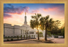Load image into Gallery viewer, Columbia Palmetto Sunset

