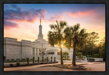 Load image into Gallery viewer, Columbia Palmetto Sunset
