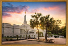Load image into Gallery viewer, Columbia Palmetto Sunset
