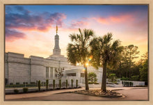 Load image into Gallery viewer, Columbia Palmetto Sunset
