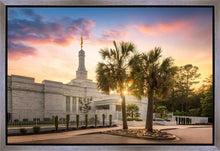 Load image into Gallery viewer, Columbia Palmetto Sunset
