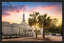 Load image into Gallery viewer, Columbia Palmetto Sunset
