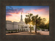 Load image into Gallery viewer, Columbia Palmetto Sunset
