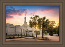 Load image into Gallery viewer, Columbia Palmetto Sunset
