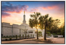 Load image into Gallery viewer, Columbia Palmetto Sunset

