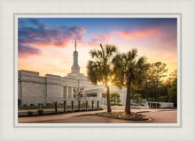 Load image into Gallery viewer, Columbia Palmetto Sunset
