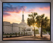 Load image into Gallery viewer, Columbia Palmetto Sunset
