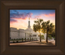 Load image into Gallery viewer, Columbia Palmetto Sunset
