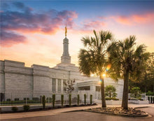 Load image into Gallery viewer, Columbia Palmetto Sunset
