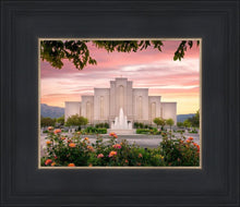 Load image into Gallery viewer, Albuquerque Morning Rose
