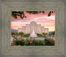 Load image into Gallery viewer, Albuquerque Morning Rose

