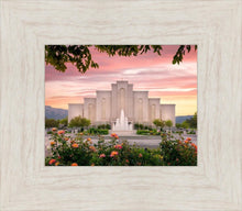 Load image into Gallery viewer, Albuquerque Morning Rose
